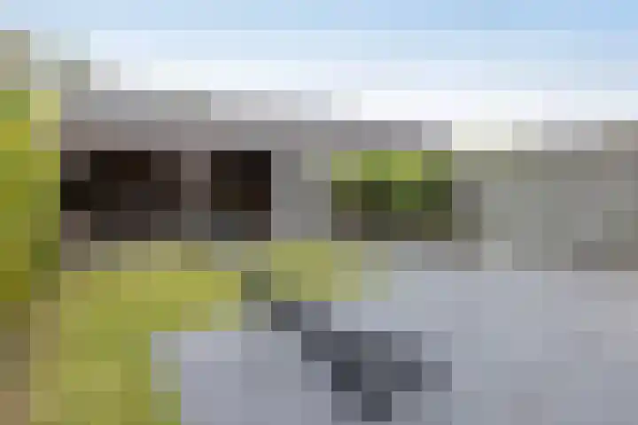 Tjonger 3 De Meern thumbnail 26