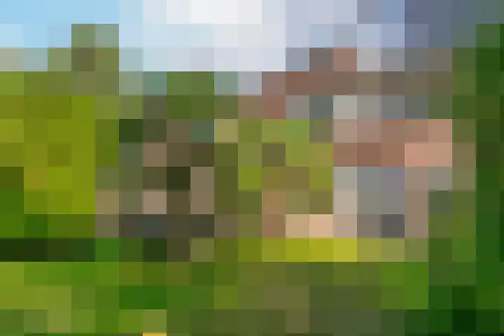Tjonger 3 De Meern thumbnail 27
