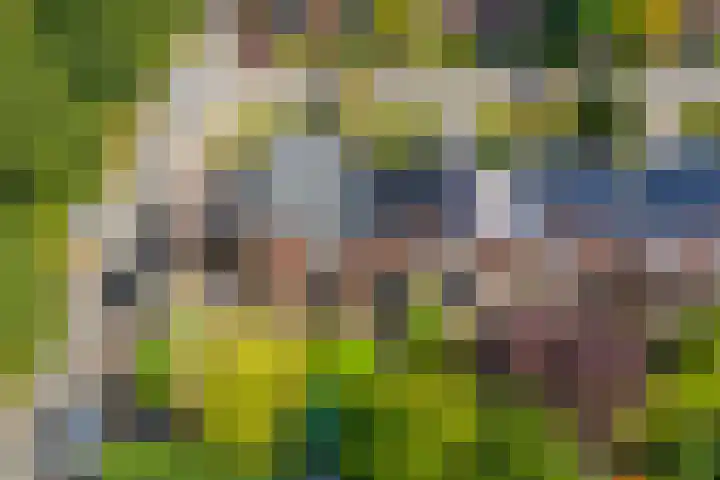 Tjonger 3 De Meern foto 3