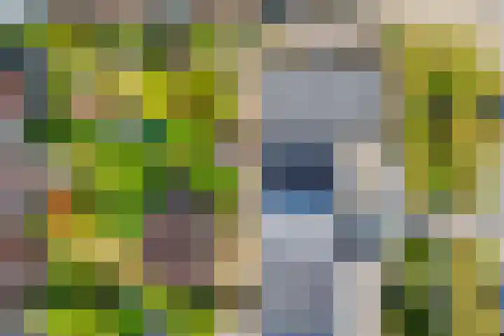Tjonger 3 De Meern thumbnail 32