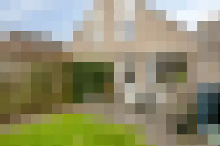 Tjotter 3 Zuidhorn thumbnail 53