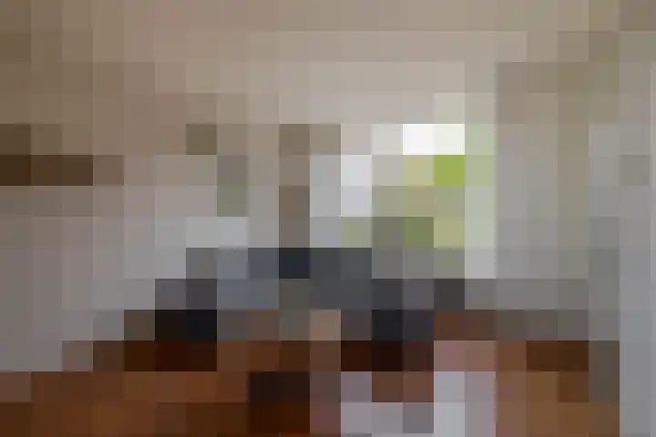 Tjotter 8 Lemmer thumbnail 8