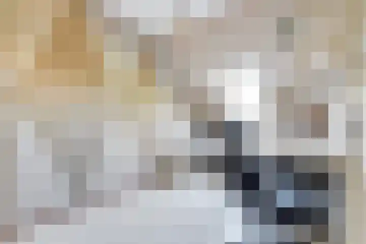Tjotterwerf 9 Gouda thumbnail 18