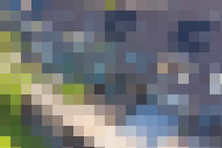 Tjotterwerf 9 Gouda thumbnail 28