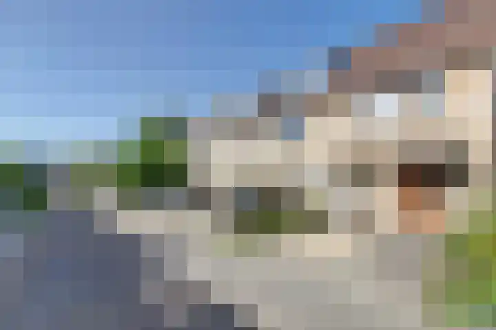 Tjotterwerf 9 Gouda thumbnail 29