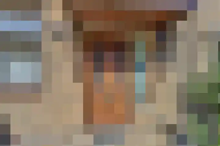Tjotterwerf 9 Gouda thumbnail 6