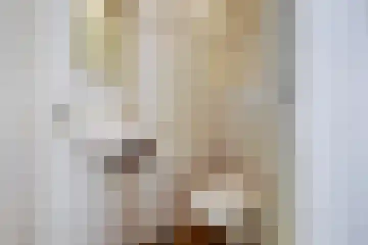 Tjotterwerf 9 Gouda thumbnail 8