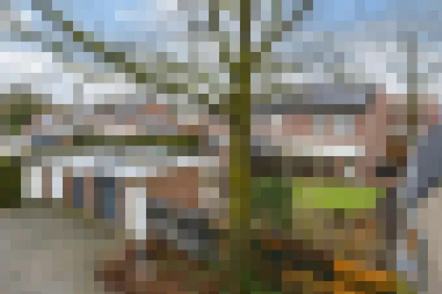 Tobbersdijk 17 Weert thumbnail 31