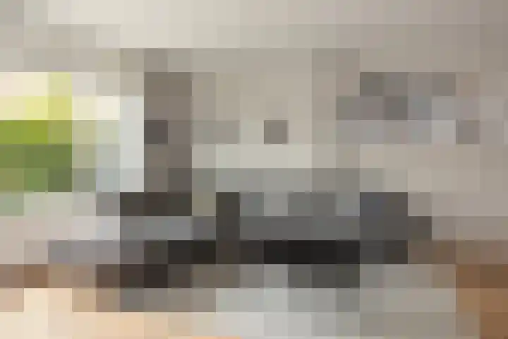 Toendrameer 36 Houten thumbnail 10