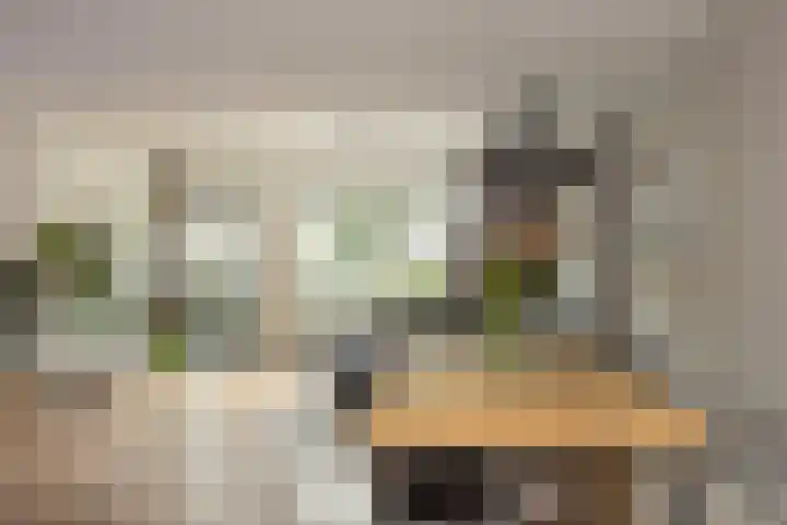 Toendrameer 36 Houten thumbnail 11