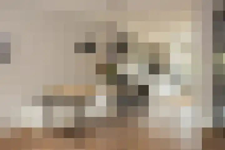 Toendrameer 36 Houten thumbnail 12