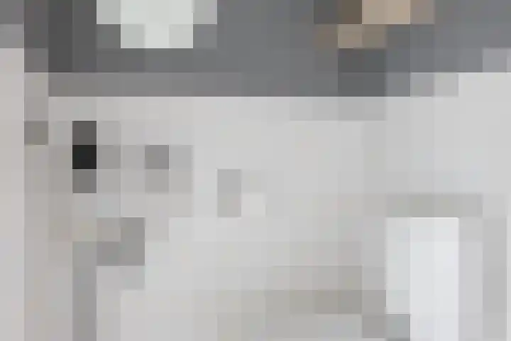 Toendrameer 36 Houten thumbnail 19