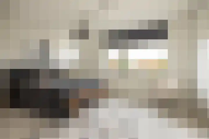Toendrameer 36 Houten thumbnail 23