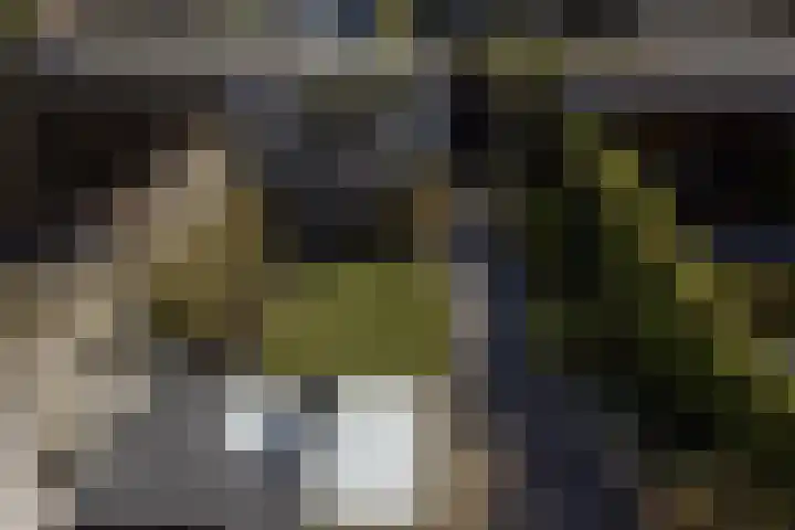 Toendrameer 36 Houten thumbnail 39