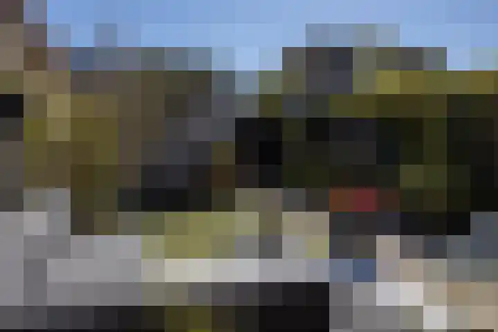 Toendrameer 36 Houten thumbnail 41