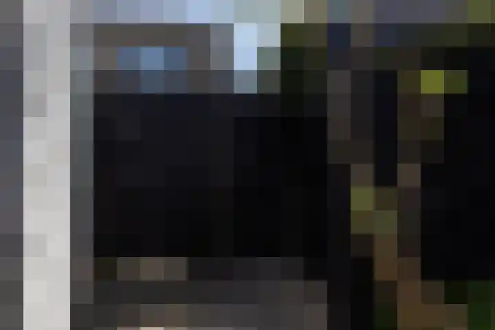 Toendrameer 36 Houten thumbnail 46