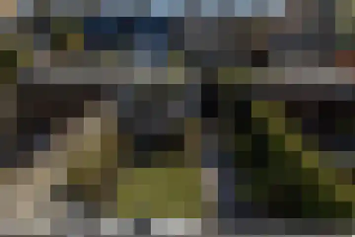 Toendrameer 36 Houten thumbnail 47