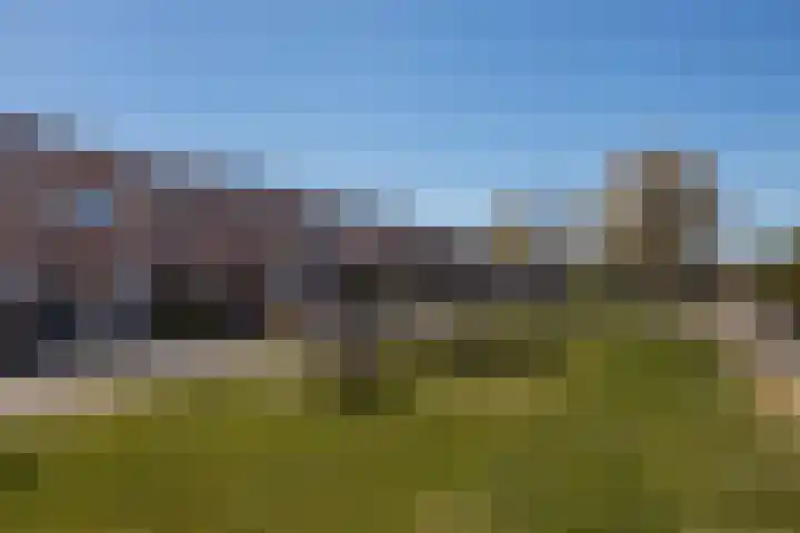 Toendrameer 36 Houten thumbnail 52