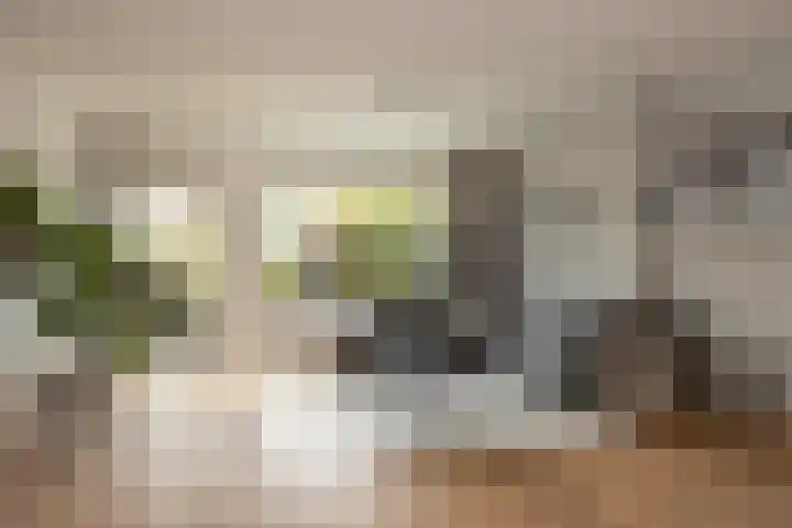 Toendrameer 36 Houten thumbnail 8