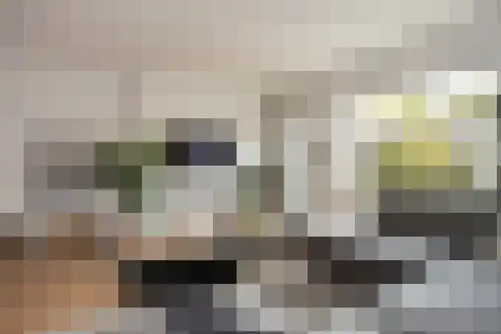 Toendrameer 36 Houten thumbnail 9