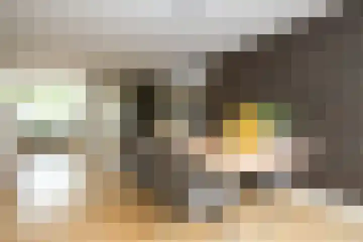 Toendrastraat 5 Purmerend thumbnail 19
