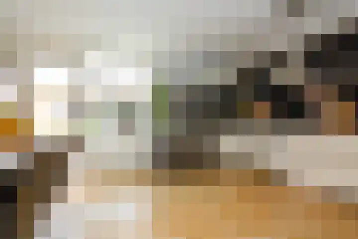 Toendrastraat 5 Purmerend thumbnail 22