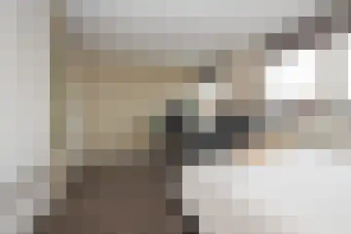 Toendrastraat 5 Purmerend thumbnail 34