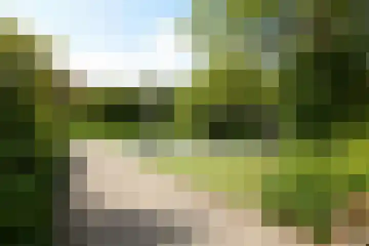Toendrastraat 5 Purmerend thumbnail 54