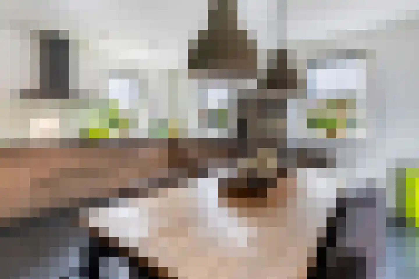 Toermalijn 37 Rhoon thumbnail 19