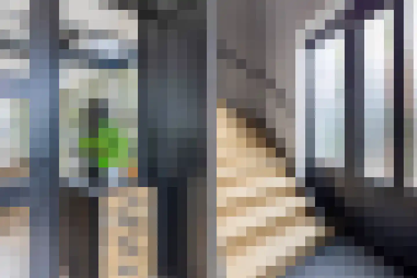 Toermalijn 37 Rhoon thumbnail 25