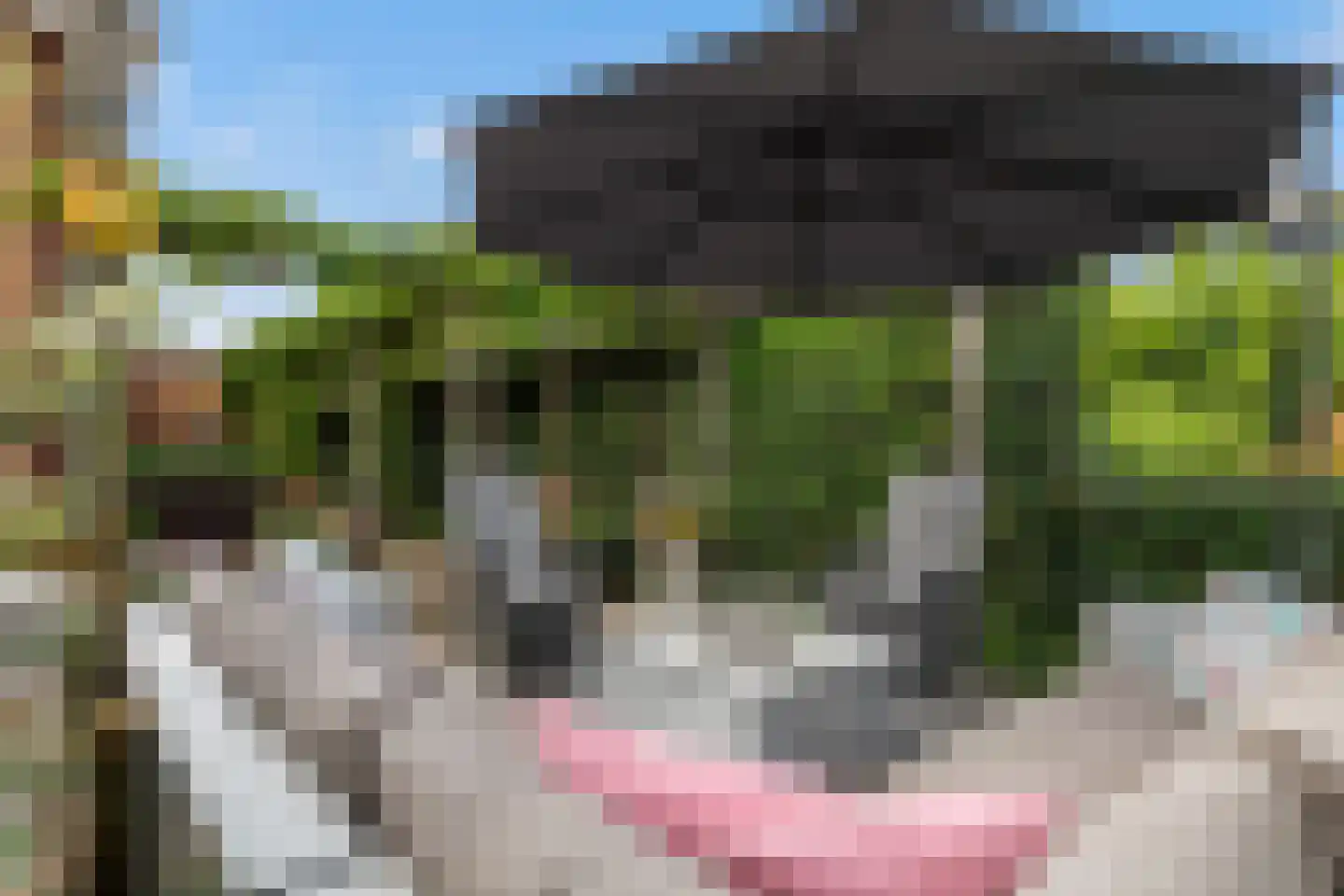 Toermalijn 37 Rhoon thumbnail 44
