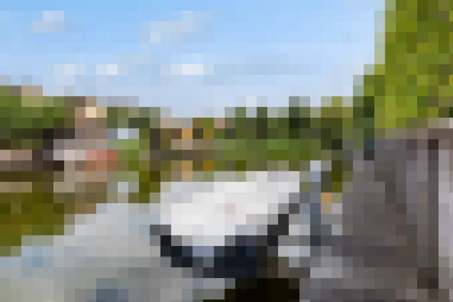 Toermalijn 37 Rhoon thumbnail 45