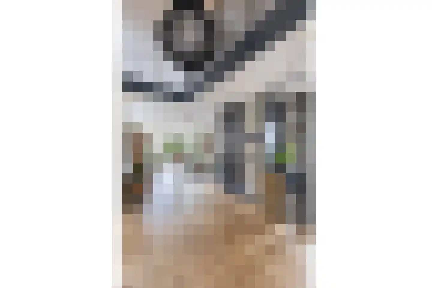 Toermalijn 37 Rhoon thumbnail 8