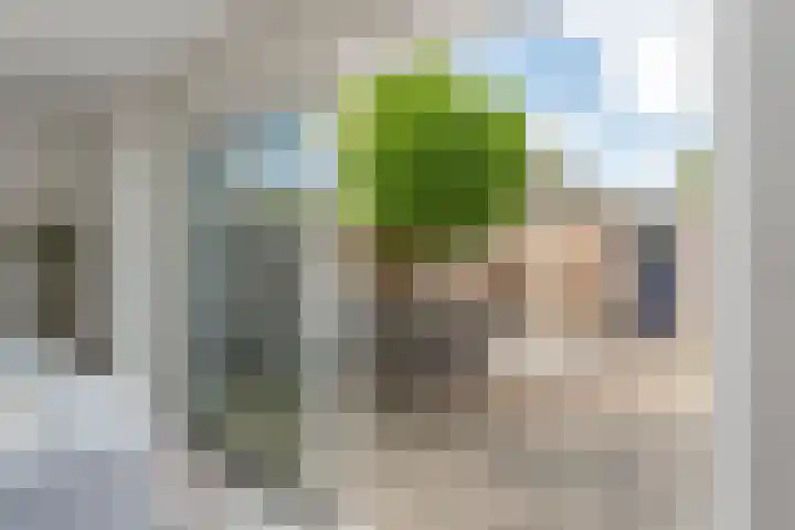 Toernooiveld 102 Almere thumbnail 13