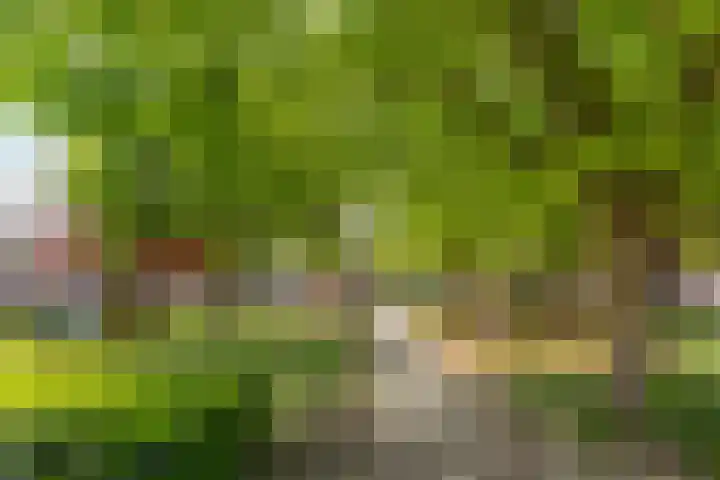 Toernooiveld 102 Almere thumbnail 5