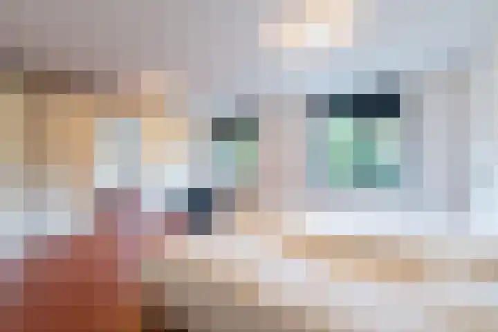 Toernooiveld 35 Almere thumbnail 30