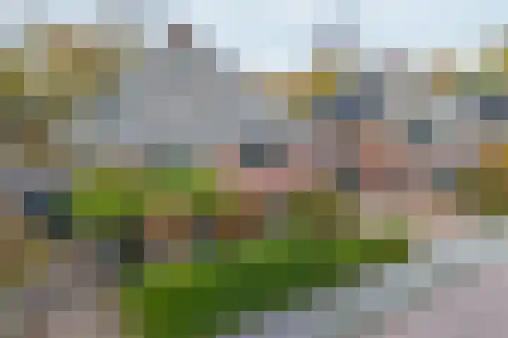 Toernooiveld 35 Almere thumbnail 43