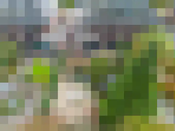 Toernooiveld 35 Almere thumbnail 45