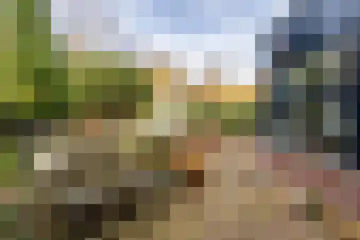 Toernooiveld 35 Almere thumbnail 47