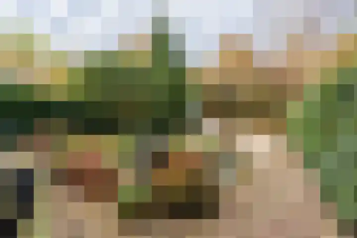 Toernooiveld 35 Almere thumbnail 49