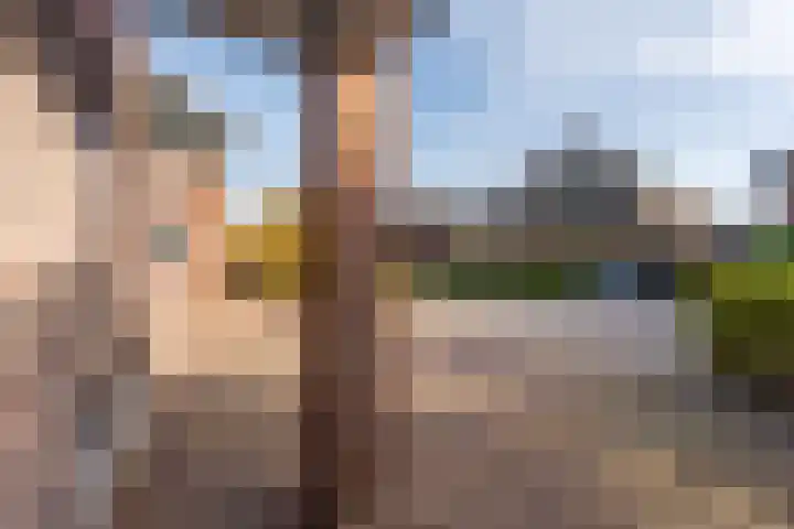 Toernooiveld 35 Almere thumbnail 6