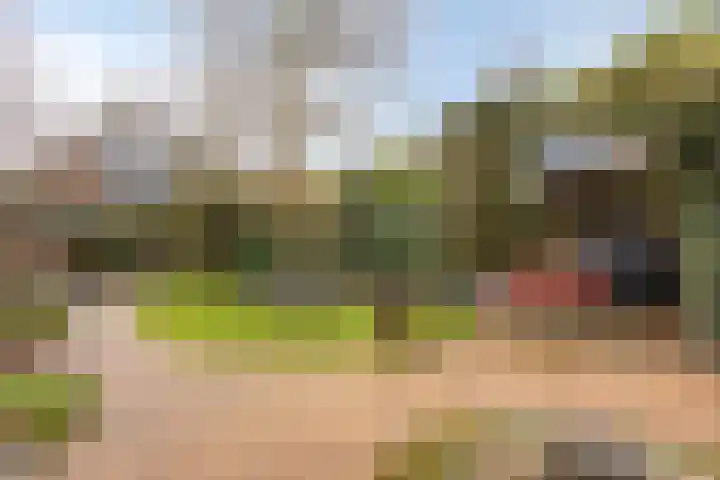 Toernooiveld 95 Almere thumbnail 39