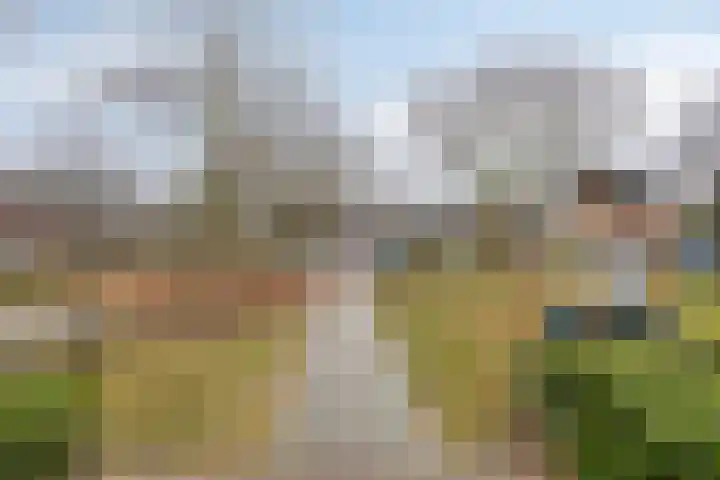 Toernooiveld 95 Almere thumbnail 41