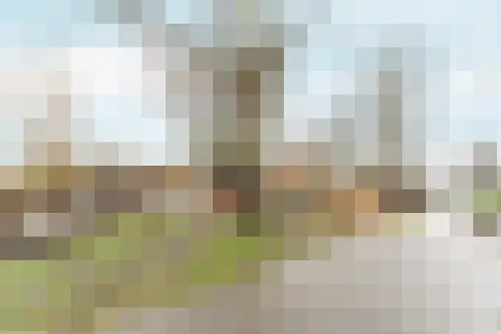 Toernooiveld 96 Almere thumbnail 37