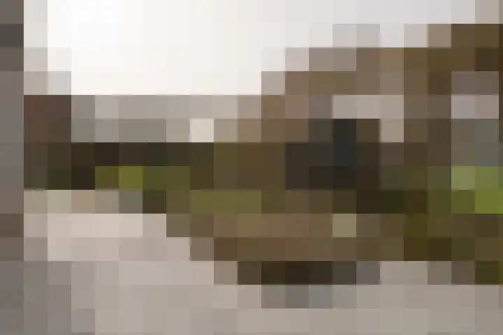Toevlucht 8 b Spanbroek thumbnail 52