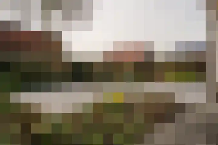 Toevlucht 8 b Spanbroek thumbnail 54
