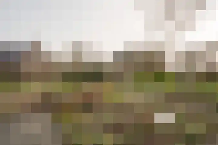 Toevlucht 8 b Spanbroek thumbnail 56