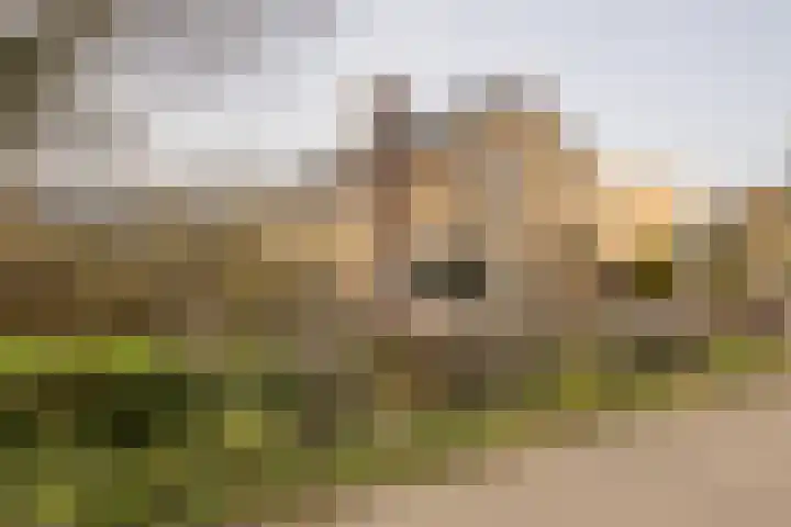 Toevlucht 8 b Spanbroek thumbnail 60