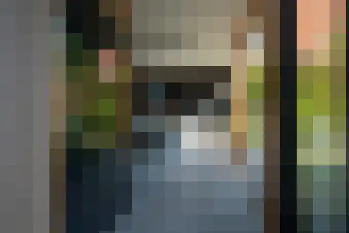 Tolakker 4 Bavel thumbnail 26
