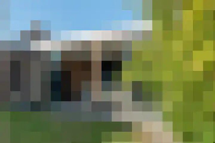 Tolakker 4 Bavel thumbnail 30